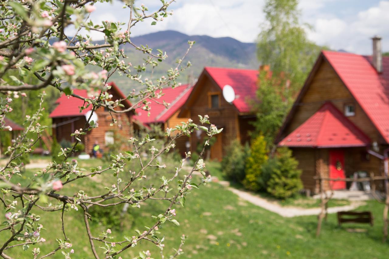 Teremok Guest House Vysjka Eksteriør bilde